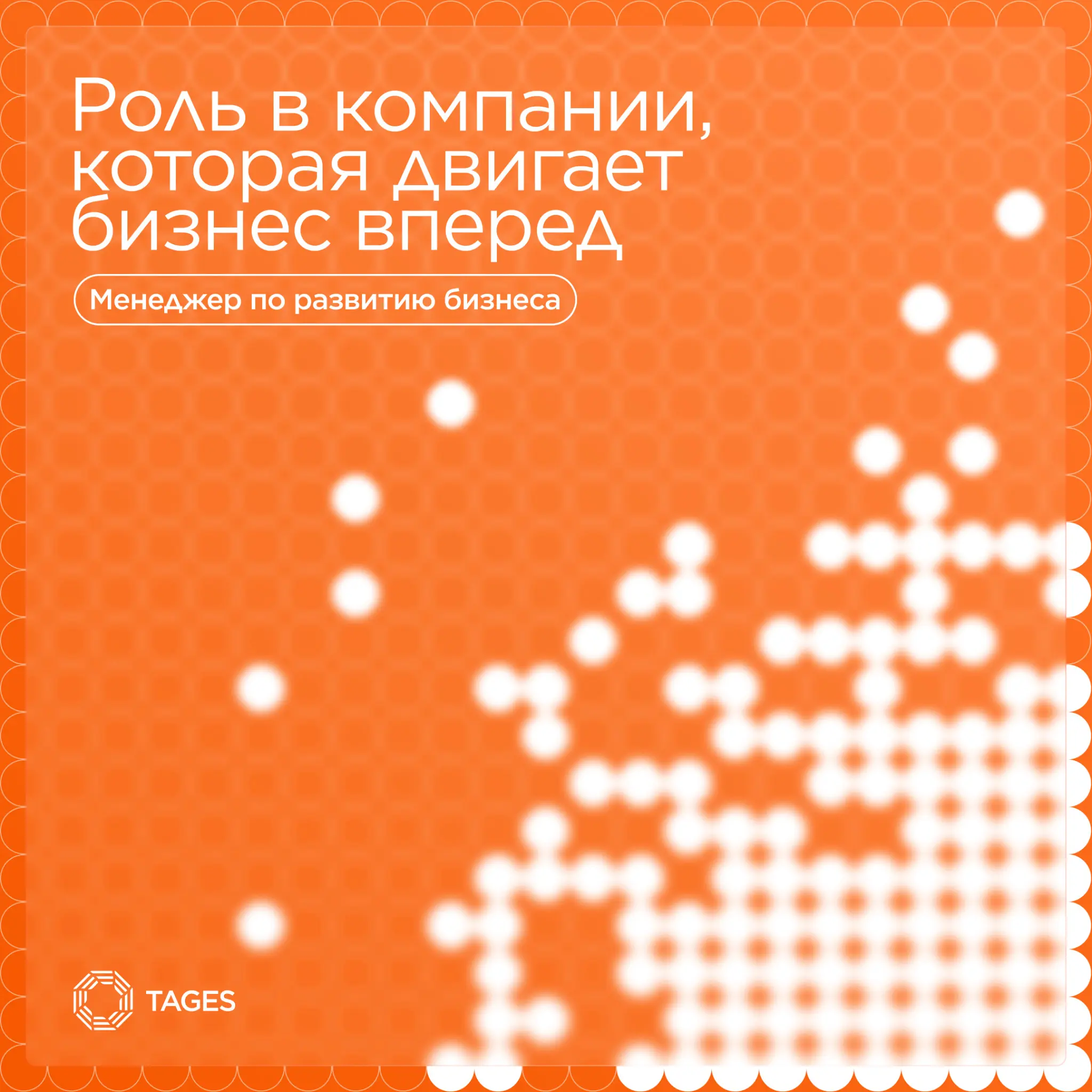 Существует немало фильмов, сериалов, книг и всего остального, повествующих о жизни ИТ-компаний и бизнеса в целом | Сетка — социальная сеть от hh.ru