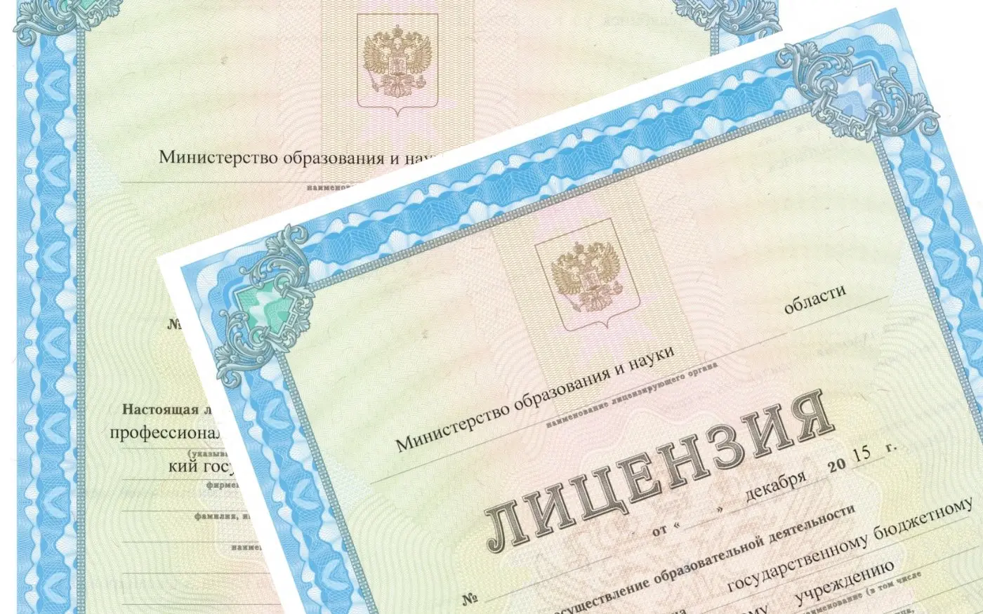 Вы нашли потенциального контрагента, но его расценки кажутся заниженными? Возможно, компания экономит на лицензии | Сетка — социальная сеть от hh.ru