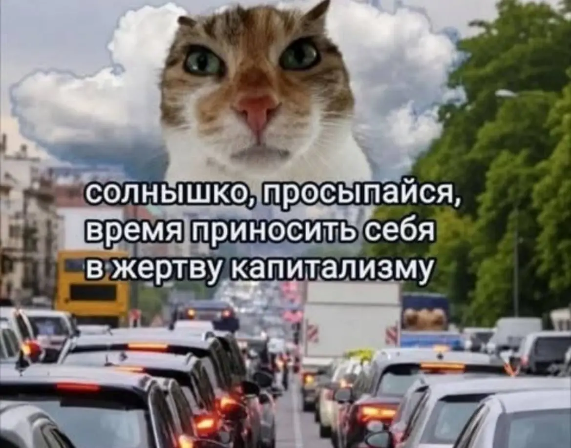 Всем доброго утра | Сетка — социальная сеть от hh.ru