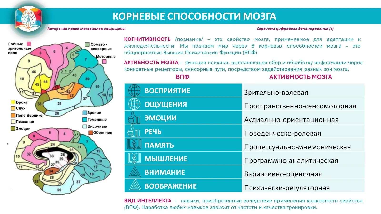 СМИЛ и ПАСПОРТ ИНТЕЛЛЕКТА. Часть 1 | Сетка — социальная сеть от hh.ru