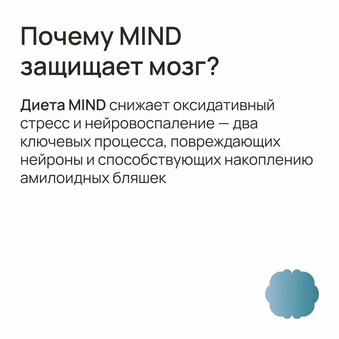 Что страшнее — умереть или перестать узнавать тех, кого любишь? Забыть имена детей? Смотреть в зеркало и видеть чужого человека?
🔵Болезнь Альцгеймера отнимает все: память, навыки, личность | Сетка — социальная сеть от hh.ru