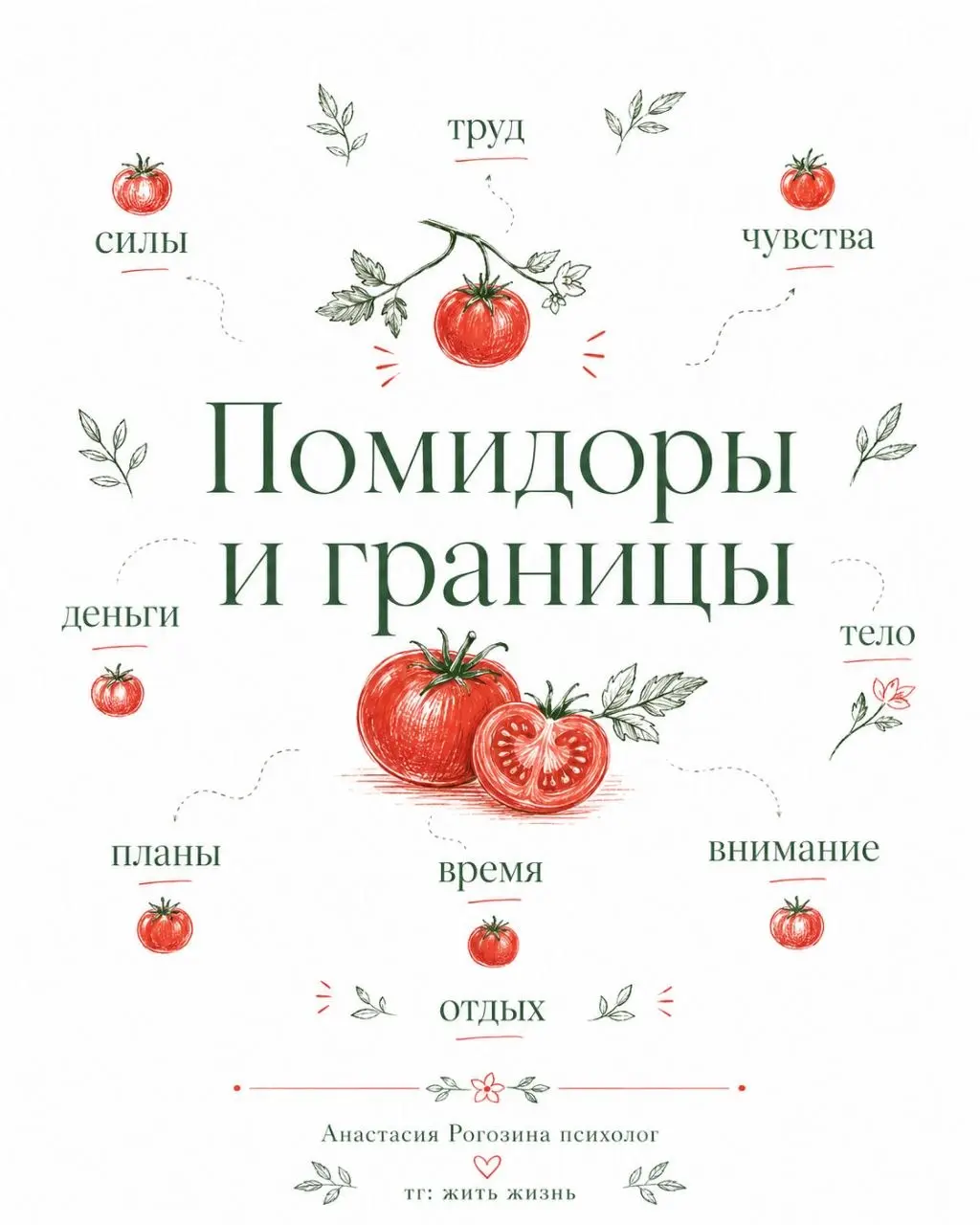 Помидоры и границы 🍅
(метафора и продолжение поста)
Представьте, что у вас есть участок. На нём вы выращиваете помидоры | Сетка — социальная сеть от hh.ru