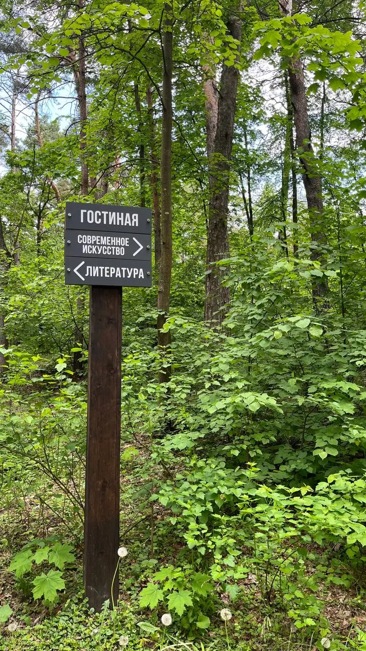 Вчера в лесу обсуждали этикет. Звучит неожиданно? А это был идеальный пейзаж для разговора о правилах | Сетка — социальная сеть от hh.ru