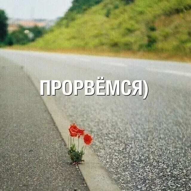 HRы в 2026: мы на дне рейтинга | Сетка — социальная сеть от hh.ru