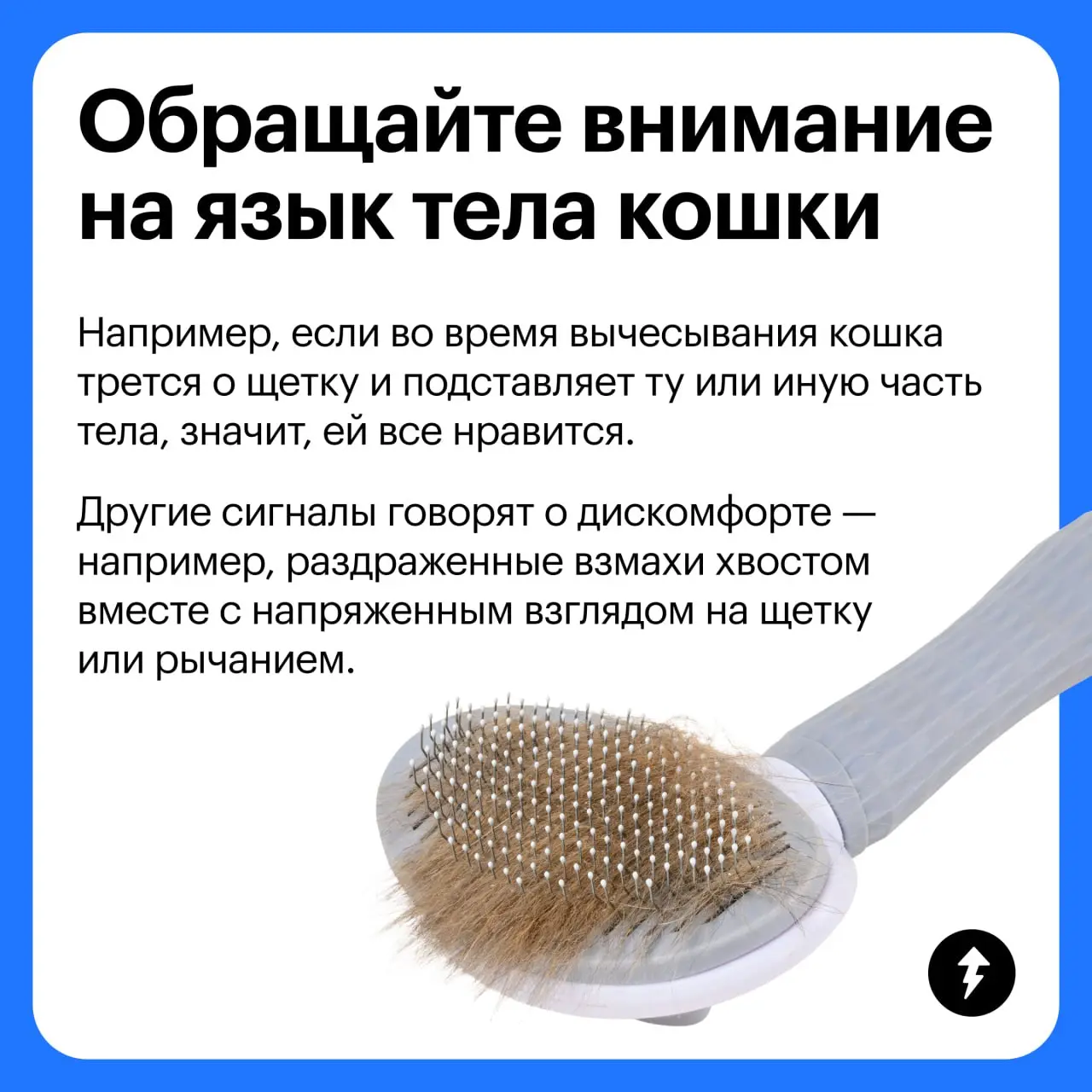 🧽 + 🐈 = ♥️
Третий урок курса «Как жить с кошкой» мы посвятили гигиене «хвостиков» и рассказали:
🐱 Как подготовить себя и кошку к процедурам
🪥 Как ухаживать за зубами, шерстью и когтями
🧴 Какой еще ухо... | Сетка — социальная сеть от hh.ru