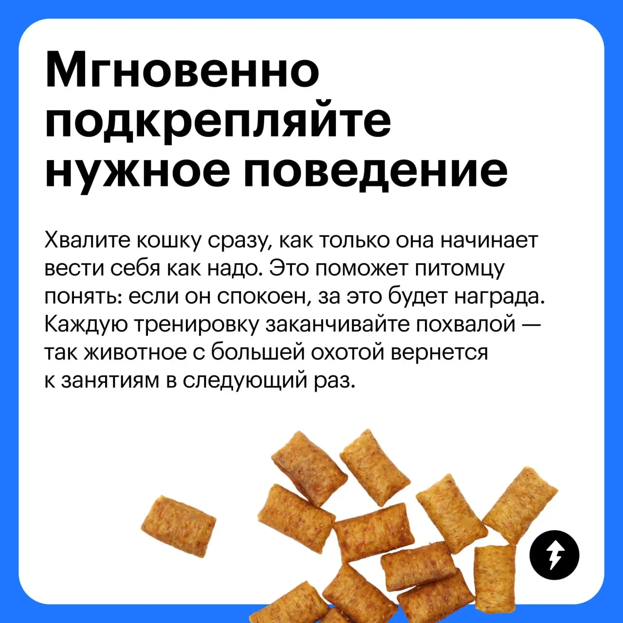 🧽 + 🐈 = ♥️
Третий урок курса «Как жить с кошкой» мы посвятили гигиене «хвостиков» и рассказали:
🐱 Как подготовить себя и кошку к процедурам
🪥 Как ухаживать за зубами, шерстью и когтями
🧴 Какой еще ухо... | Сетка — социальная сеть от hh.ru