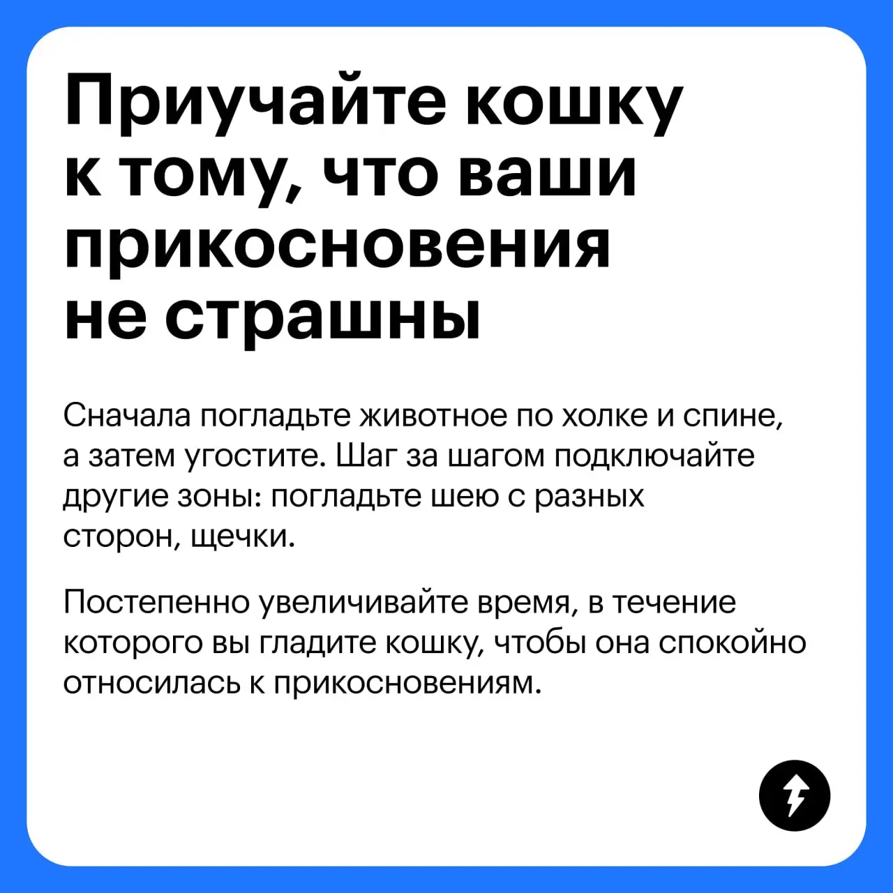 🧽 + 🐈 = ♥️
Третий урок курса «Как жить с кошкой» мы посвятили гигиене «хвостиков» и рассказали:
🐱 Как подготовить себя и кошку к процедурам
🪥 Как ухаживать за зубами, шерстью и когтями
🧴 Какой еще ухо... | Сетка — социальная сеть от hh.ru