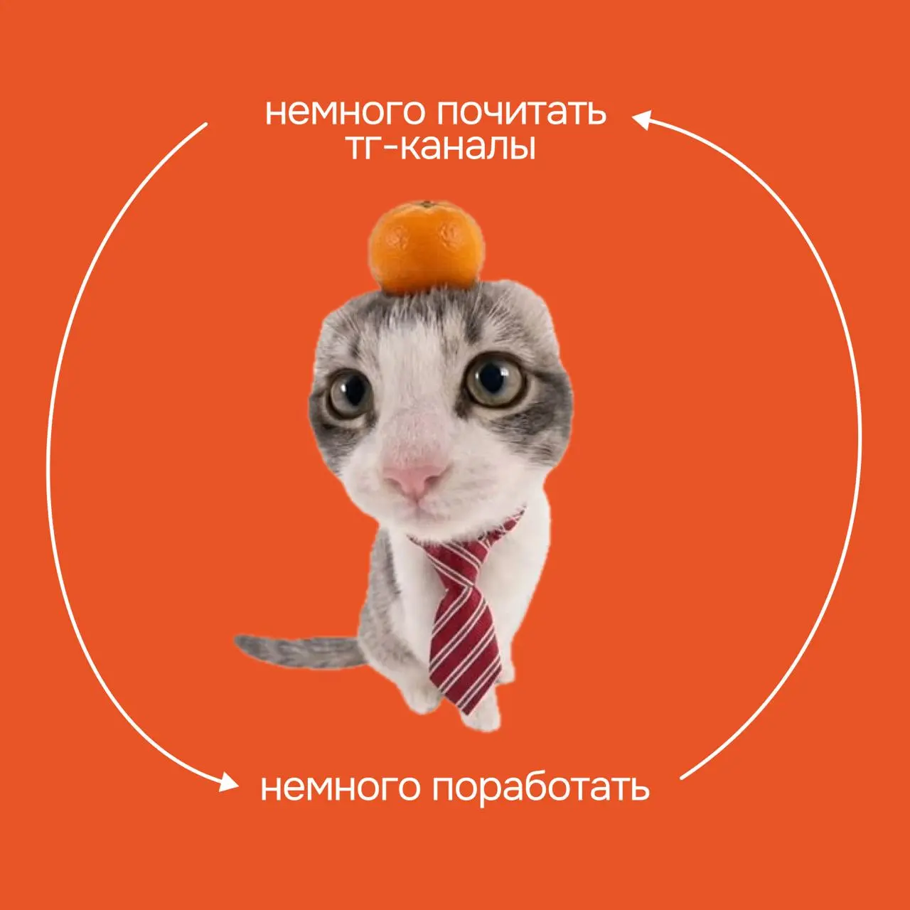 🧭 Карьера и развитие со всех сторон в 2026
Наш канал вошел в подборку каналов в телеграм про карьеру и профессиональное развитие — для сотрудников, HR и руководителей | Сетка — социальная сеть от hh.ru