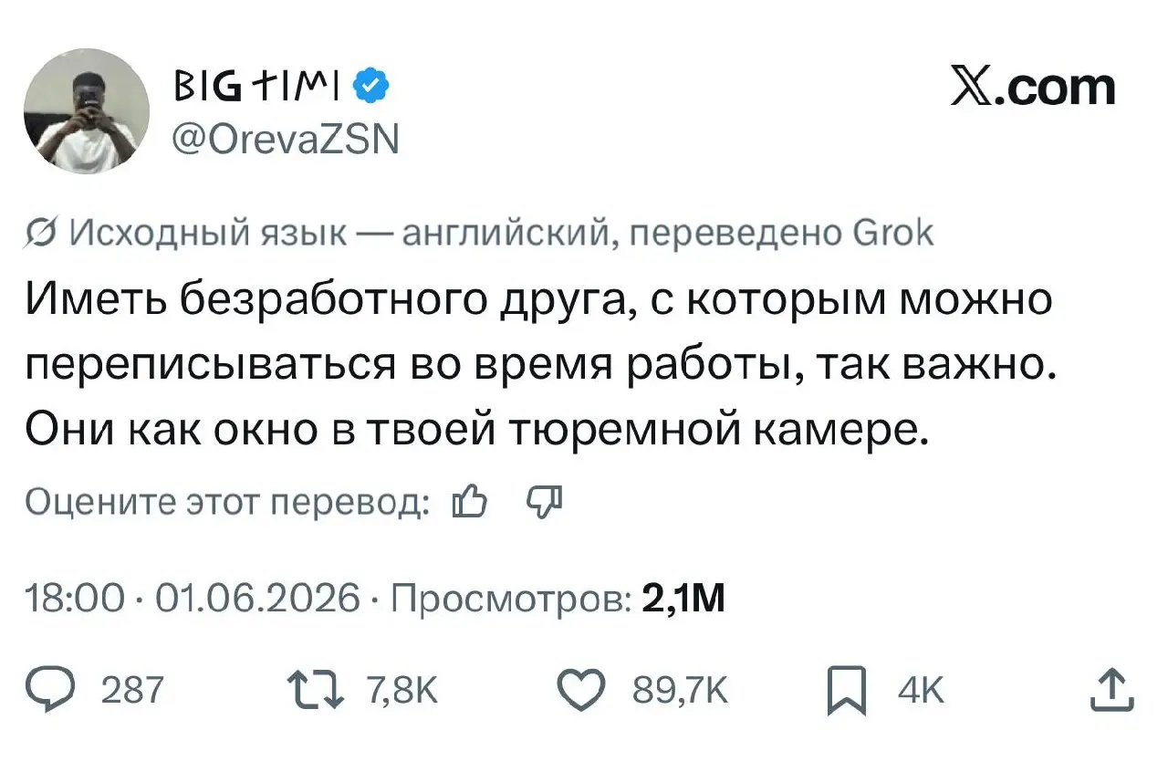 Отправь бро, который скрашивает твои рабочие будни 🫡 | Сетка — социальная сеть от hh.ru