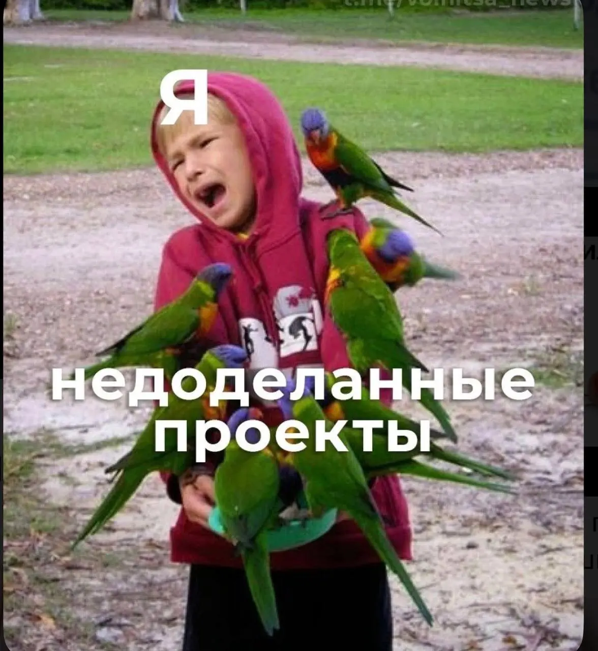 НЕТ проекту = ДА эффективности
Признание в духе «я не потяну этот проект» часто воспринимается как отсутствие вовлечённости | Сетка — социальная сеть от hh.ru