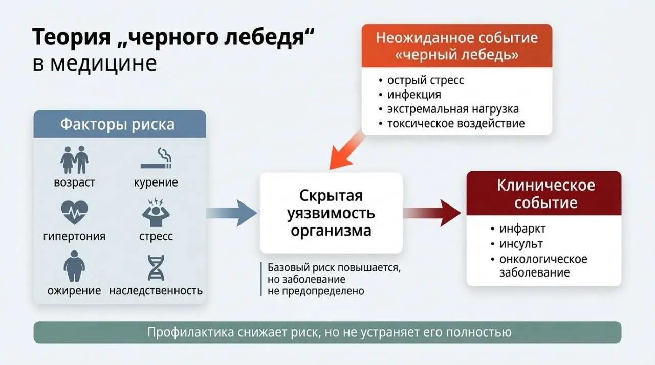 Мы собрали новый концепт для реализации в корпоративном здоровье | Сетка — социальная сеть от hh.ru