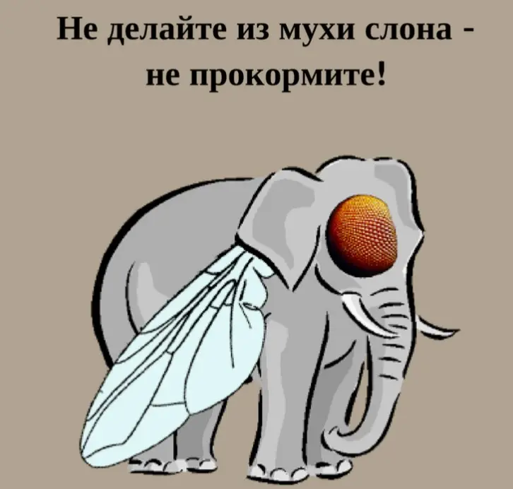 Из мухи в слона | Сетка — социальная сеть от hh.ru