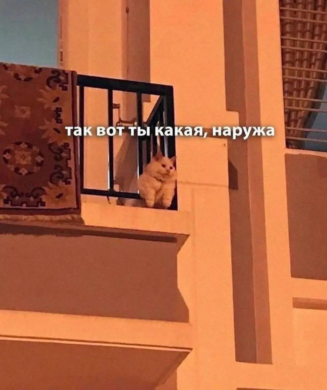 Год назад 2 июня я вышла на новую работу, вот записывала кружочек ⬆️
1 | Сетка — социальная сеть от hh.ru