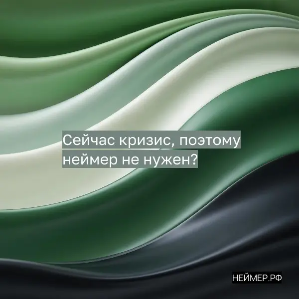 Сейчас кризис, поэтому неймер не нужен? | Сетка — социальная сеть от hh.ru
