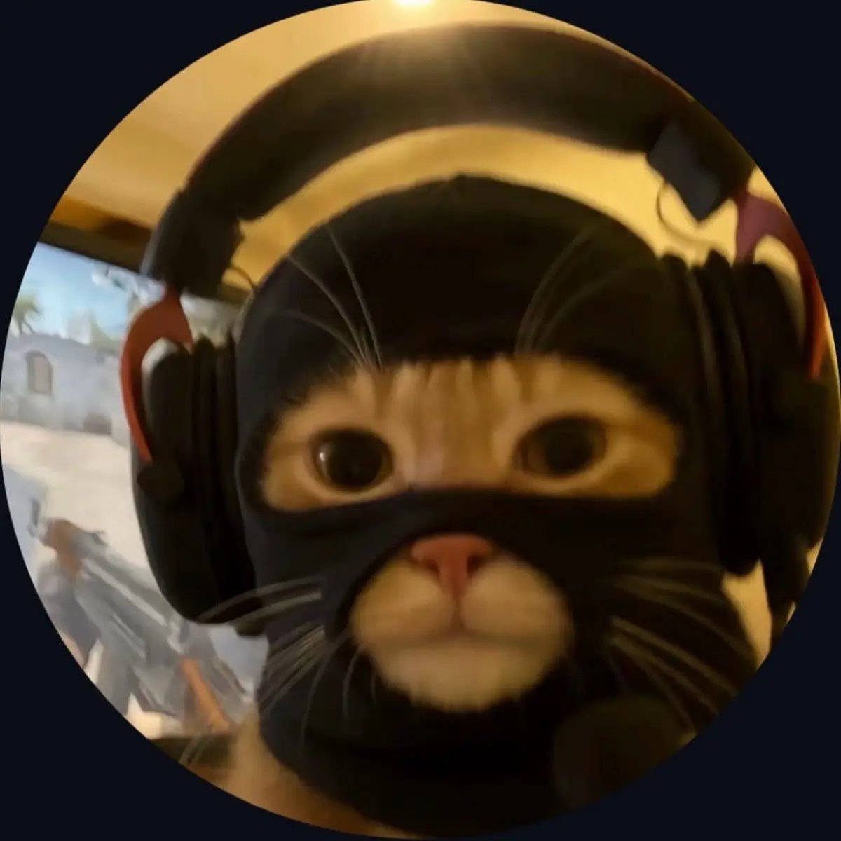 Алексей Дюпин