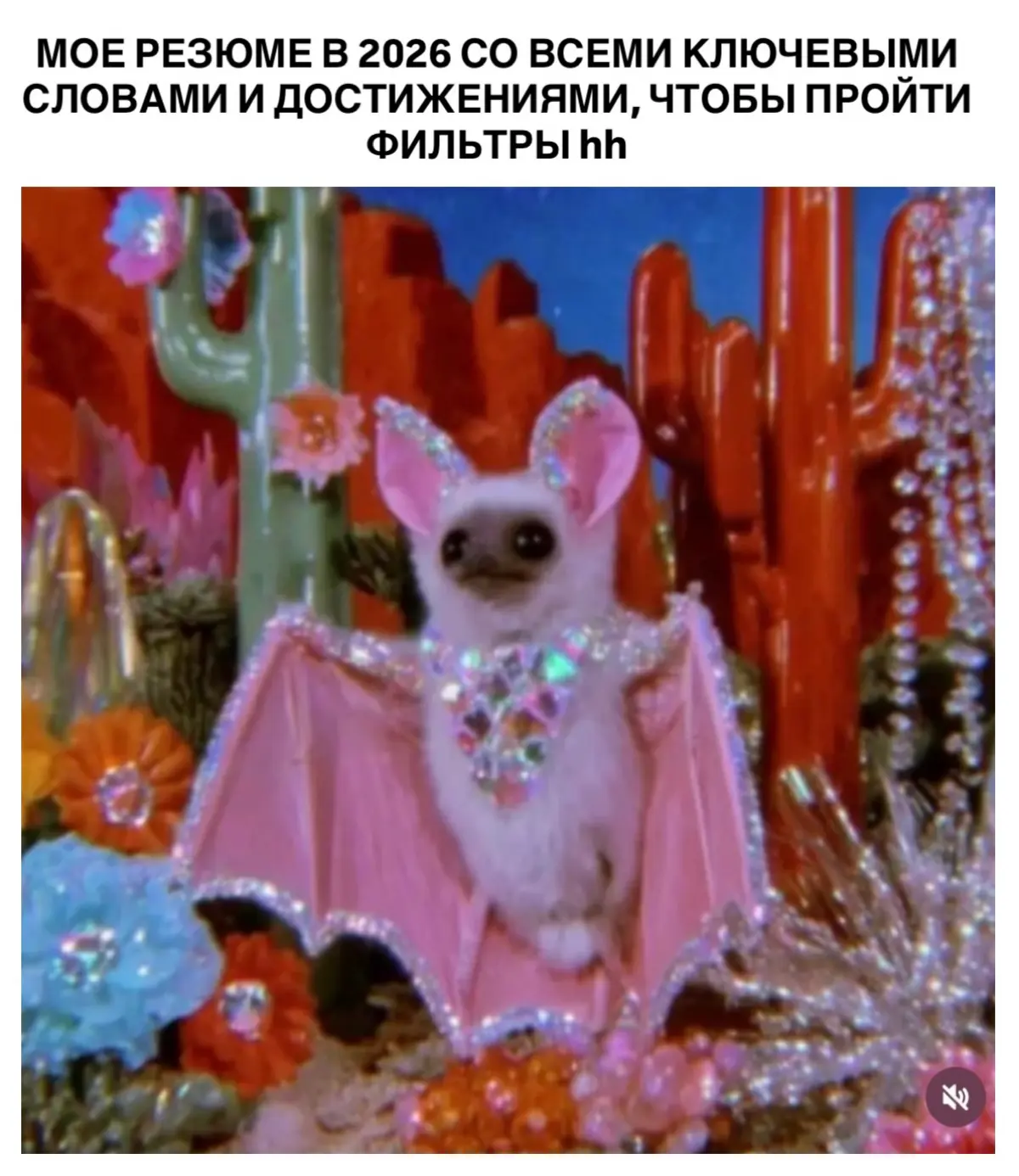 Мем смешной, ситуация не очень | Сетка — социальная сеть от hh.ru