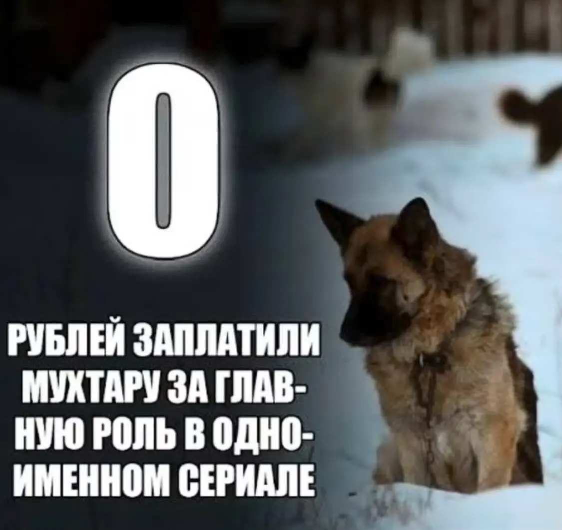 Да, проверка Вашего товарного знака бесплатная! Конечно, Направляйте все варианты. Мы все проверим! | Сетка — социальная сеть от hh.ru