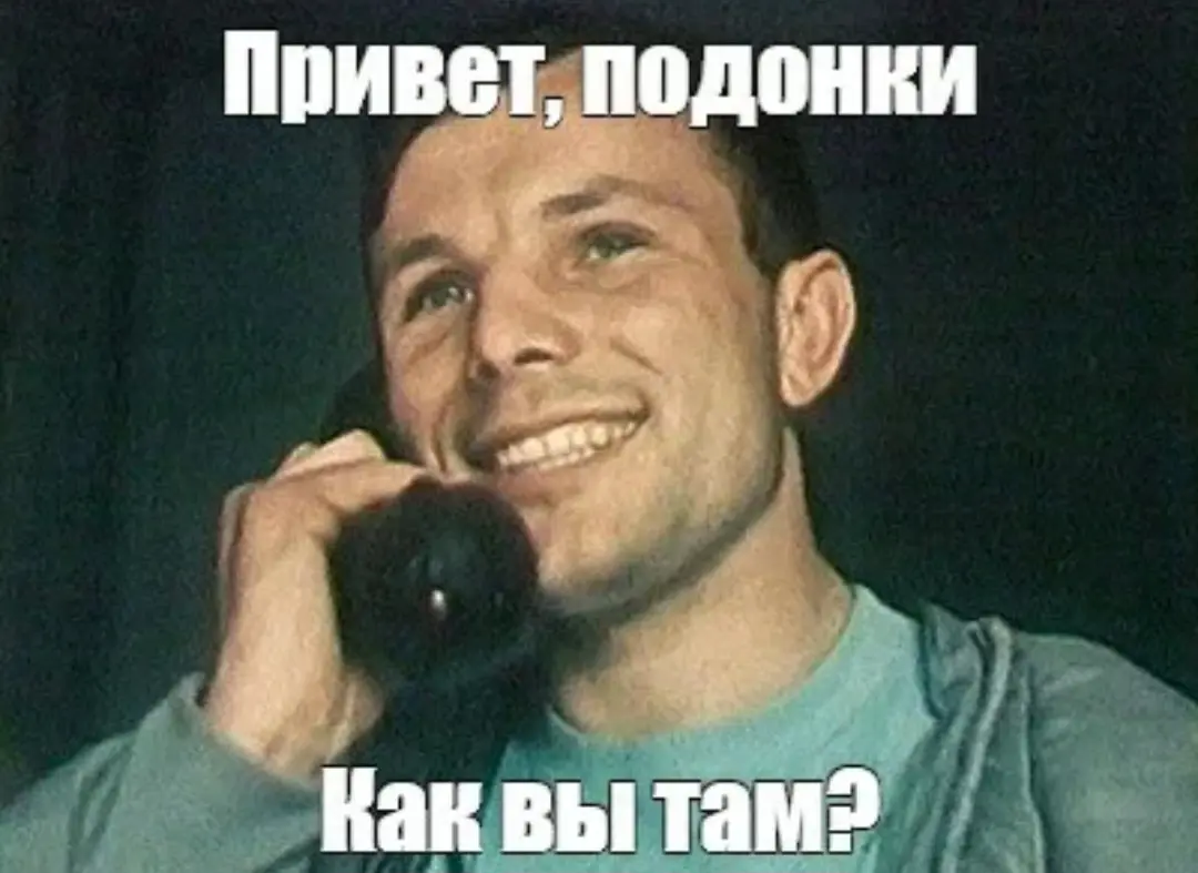 В Бобруйск, жывотное | Сетка — социальная сеть от hh.ru