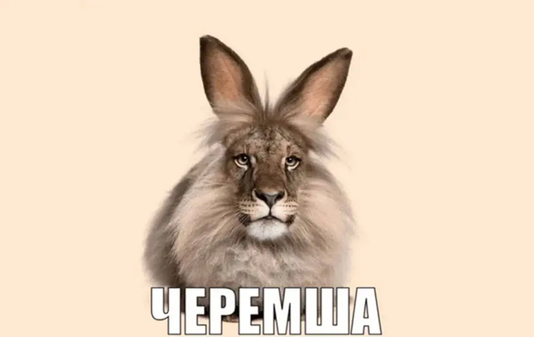 Для здоровья малыша - черемша | Сетка — социальная сеть от hh.ru