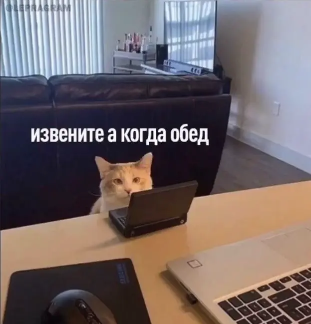 Вот так вот | Сетка — социальная сеть от hh.ru