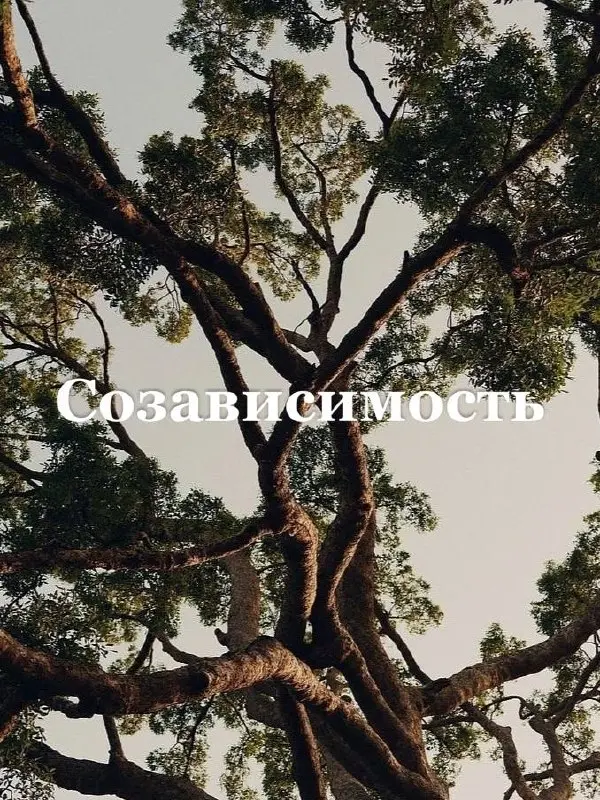 Созависимость: когда «спасаешь» — а становится только хуже 😞
Представьте пару: он — человек с алкогольной зависимостью, она — энергичный предприниматель, привыкшая всё контролировать | Сетка — социальная сеть от hh.ru