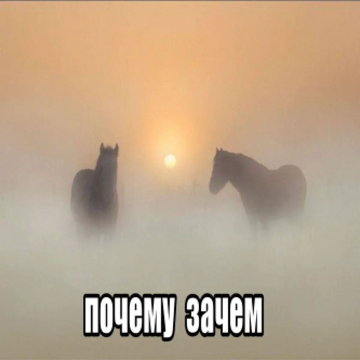 Столько постов о том, насколько сложно сейчас найти работу в своей нише… И я соглашусь, потому что после того , как ушла с работы (да там хвалили, да - внесла вклад в развитие компании со своей колоко... | Сетка — социальная сеть от hh.ru