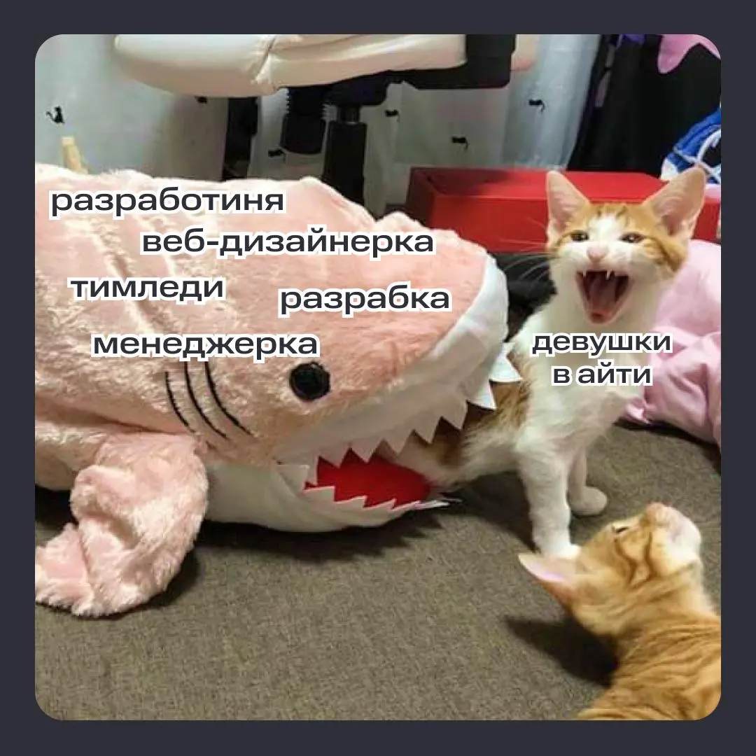 Да начнётся великий спор ❗️ | Сетка — социальная сеть от hh.ru
