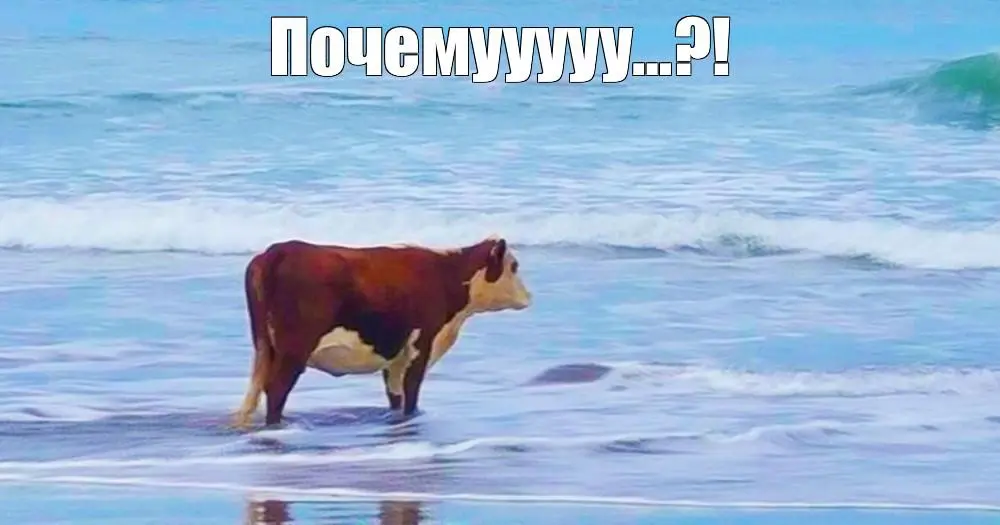 Как назвать продукт? | Сетка — социальная сеть от hh.ru