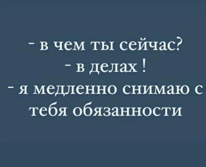 Лучший подарок для руководителя | Сетка — социальная сеть от hh.ru