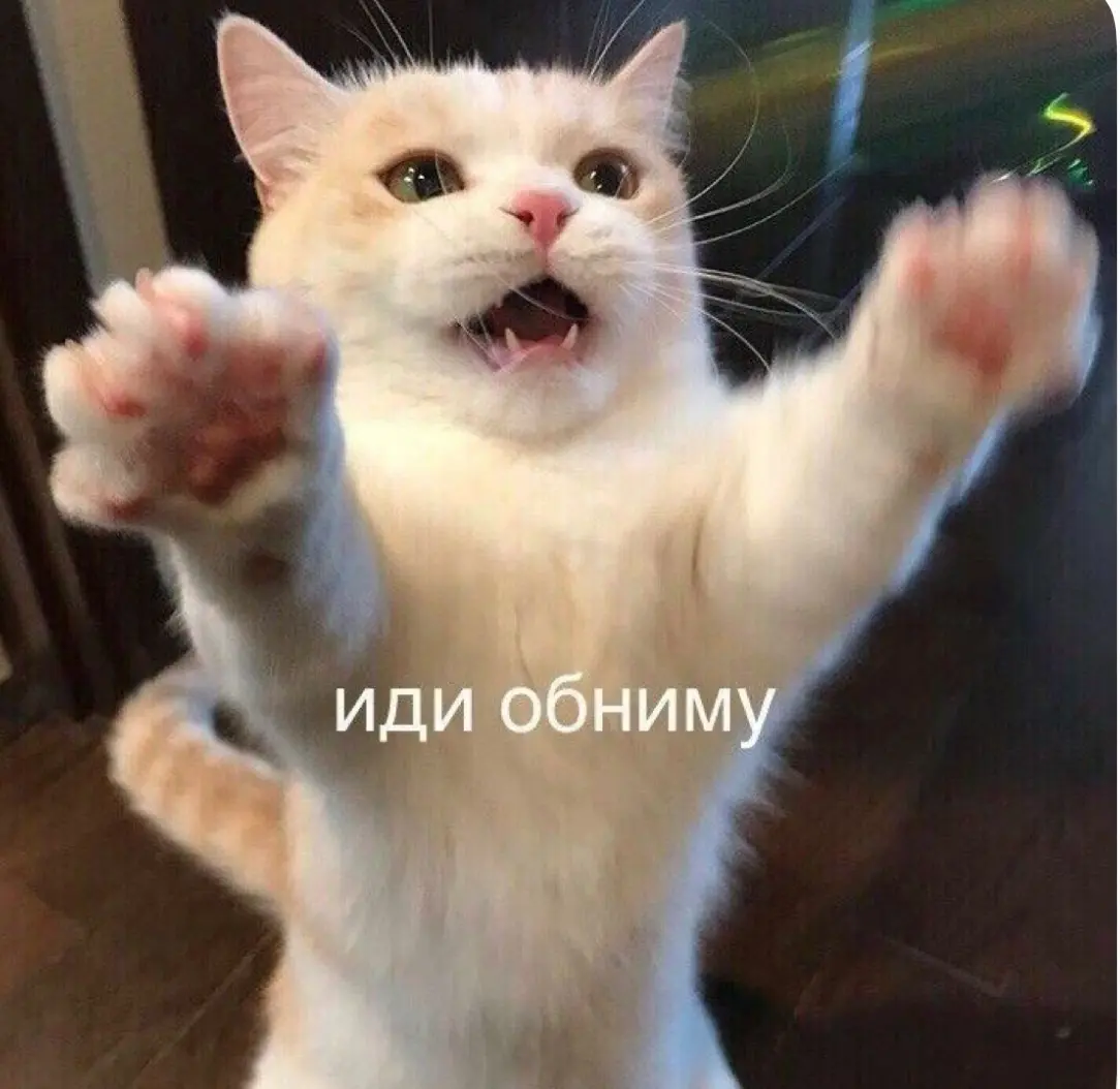 Идеальный welcome-пак моей мечты | Сетка — социальная сеть от hh.ru