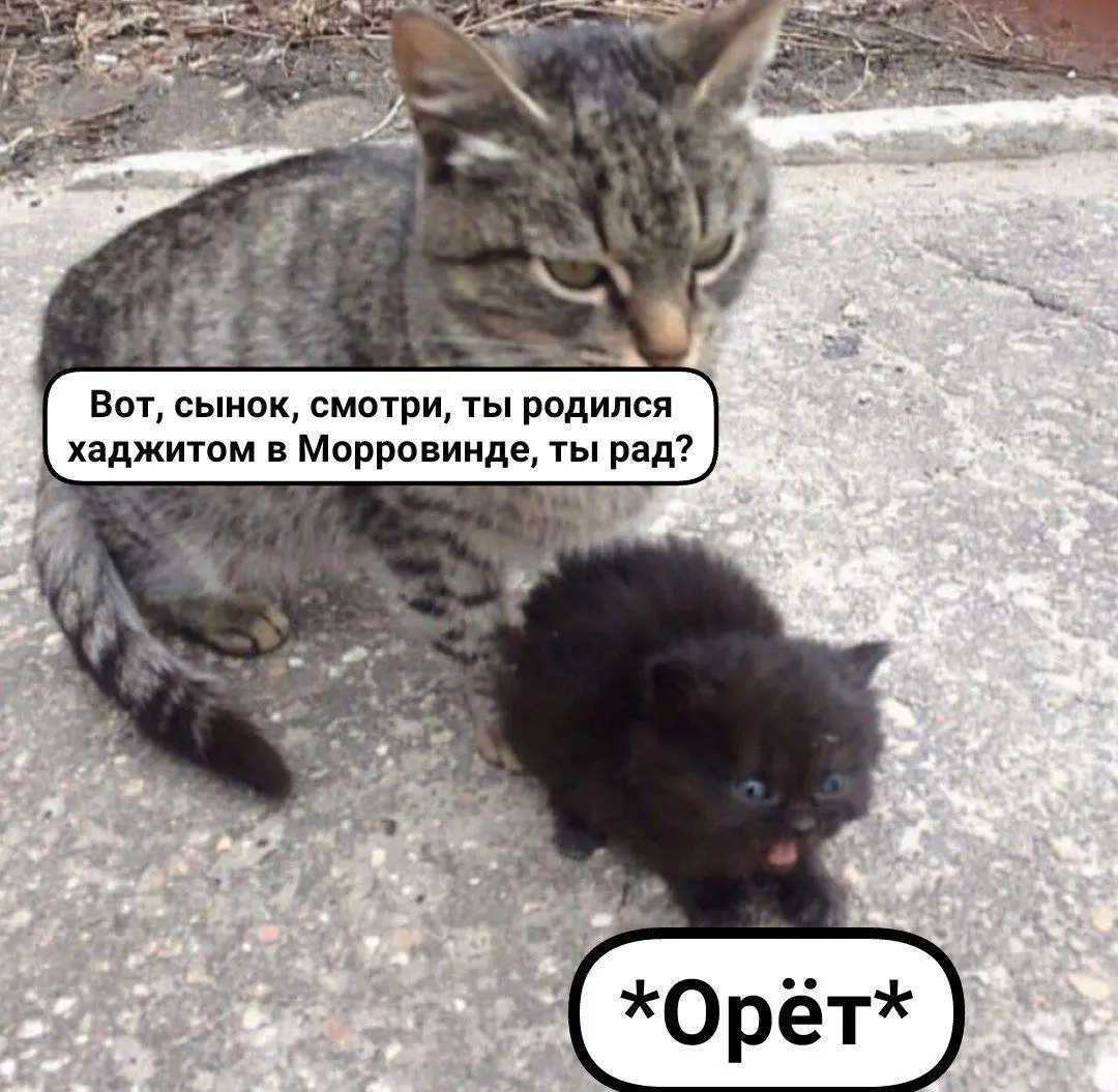 Old but good [54] | Сетка — социальная сеть от hh.ru