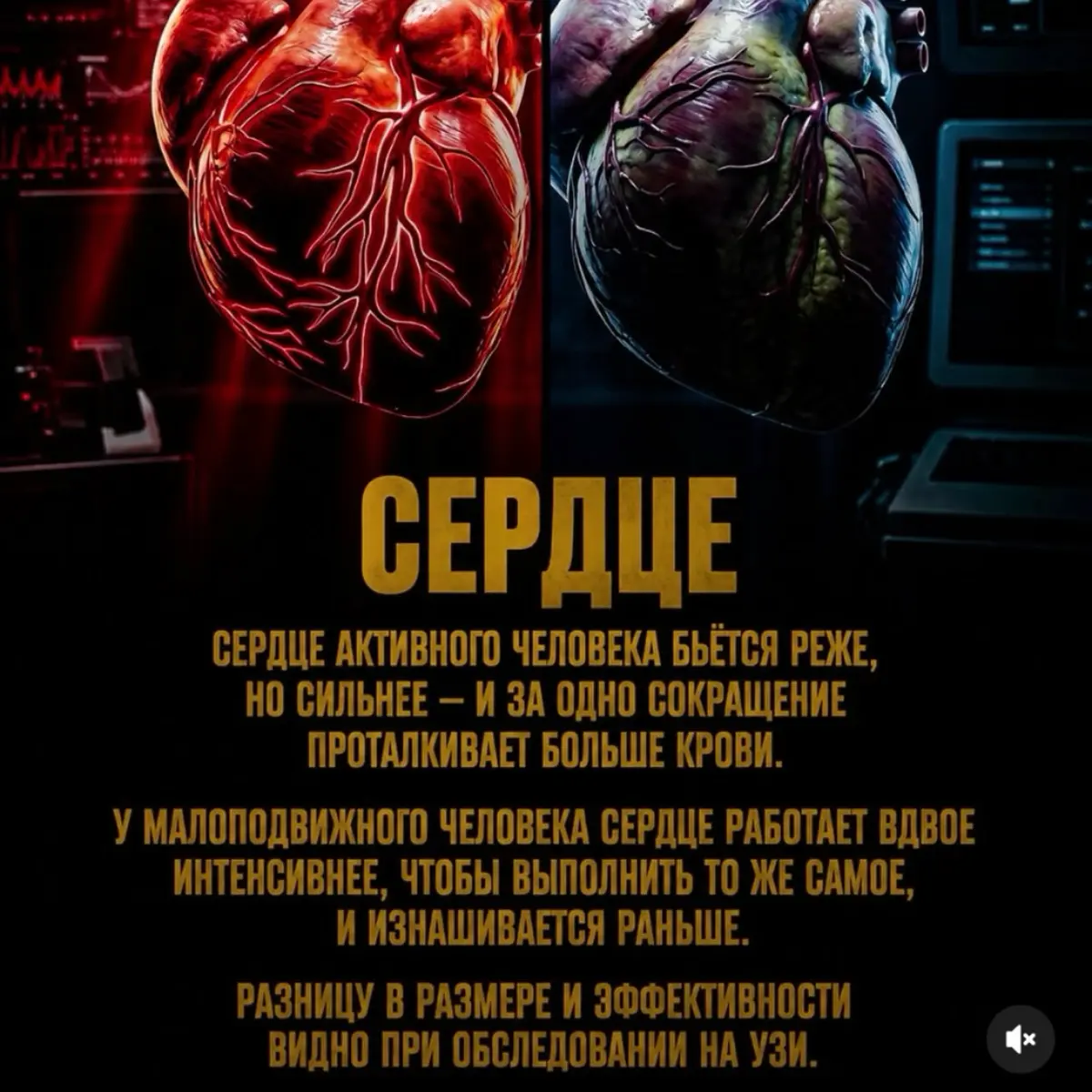 #здоровье #сердце #активность #гиподинамия #зож⁣⁣⠀ | Сетка — социальная сеть от hh.ru