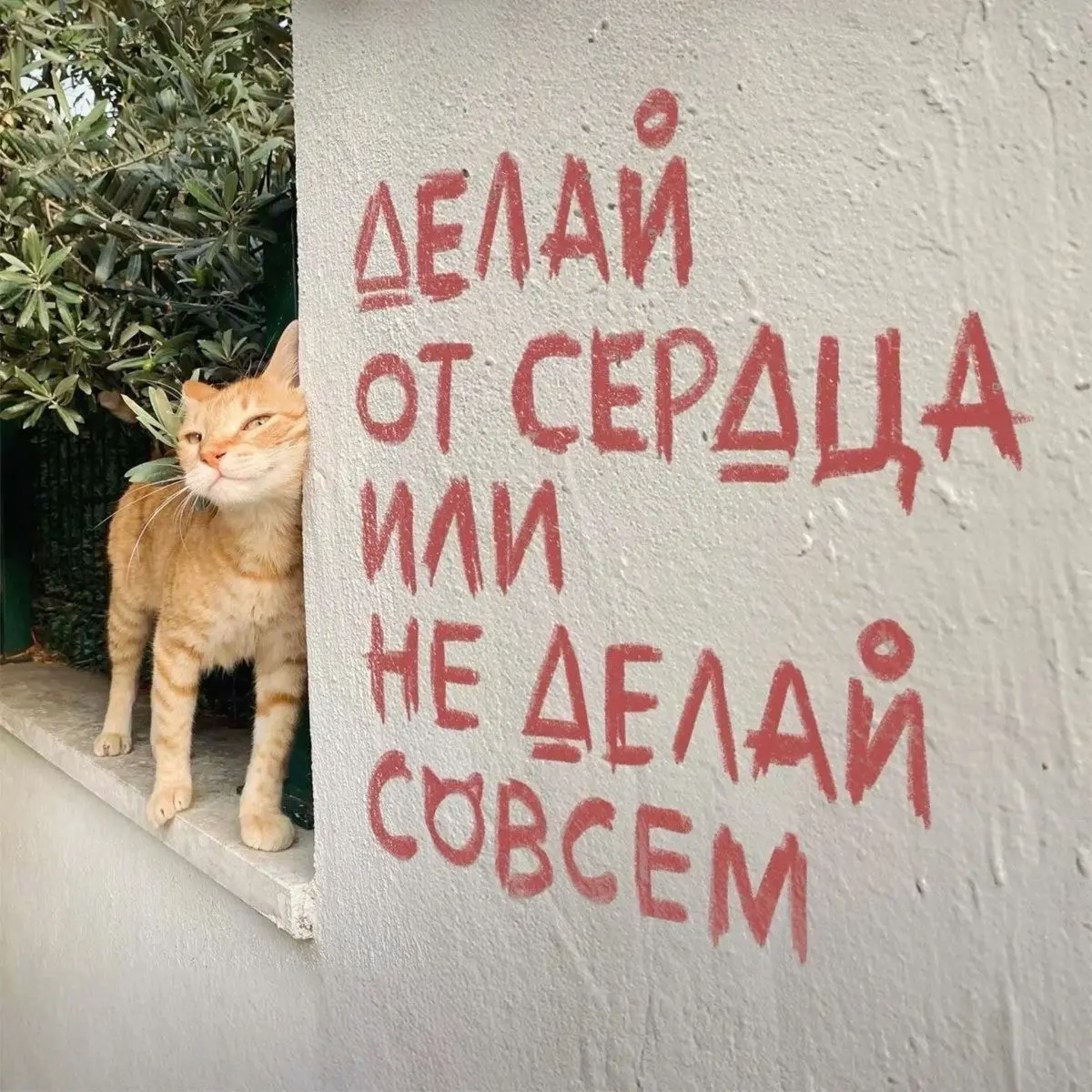 Наставничество = достижение?🥸 | Сетка — социальная сеть от hh.ru