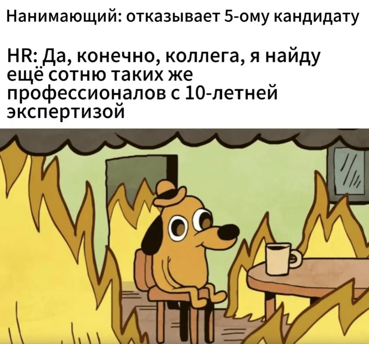 Сетка — социальная сеть от hh.ru