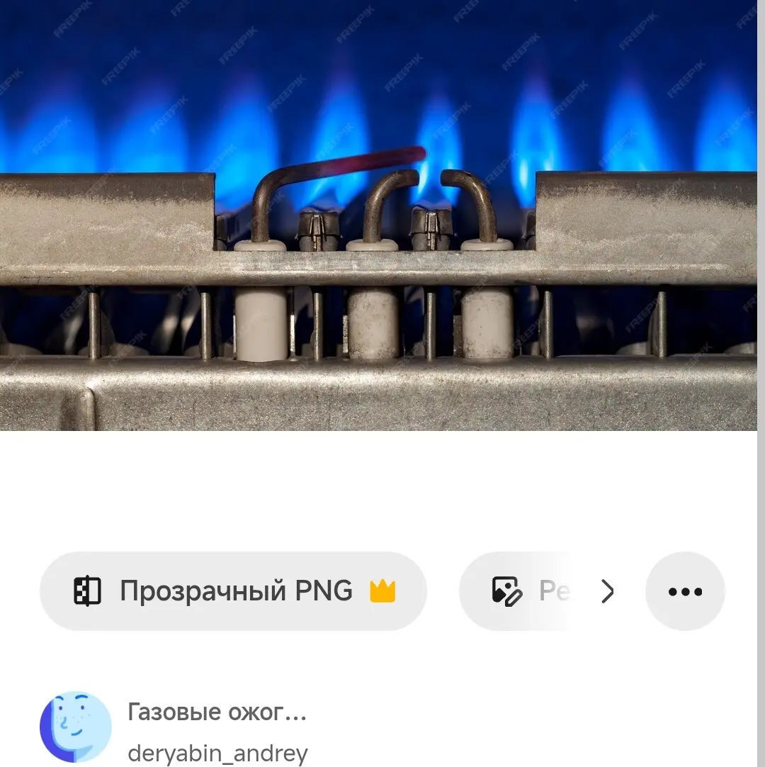 Александр Косолапов