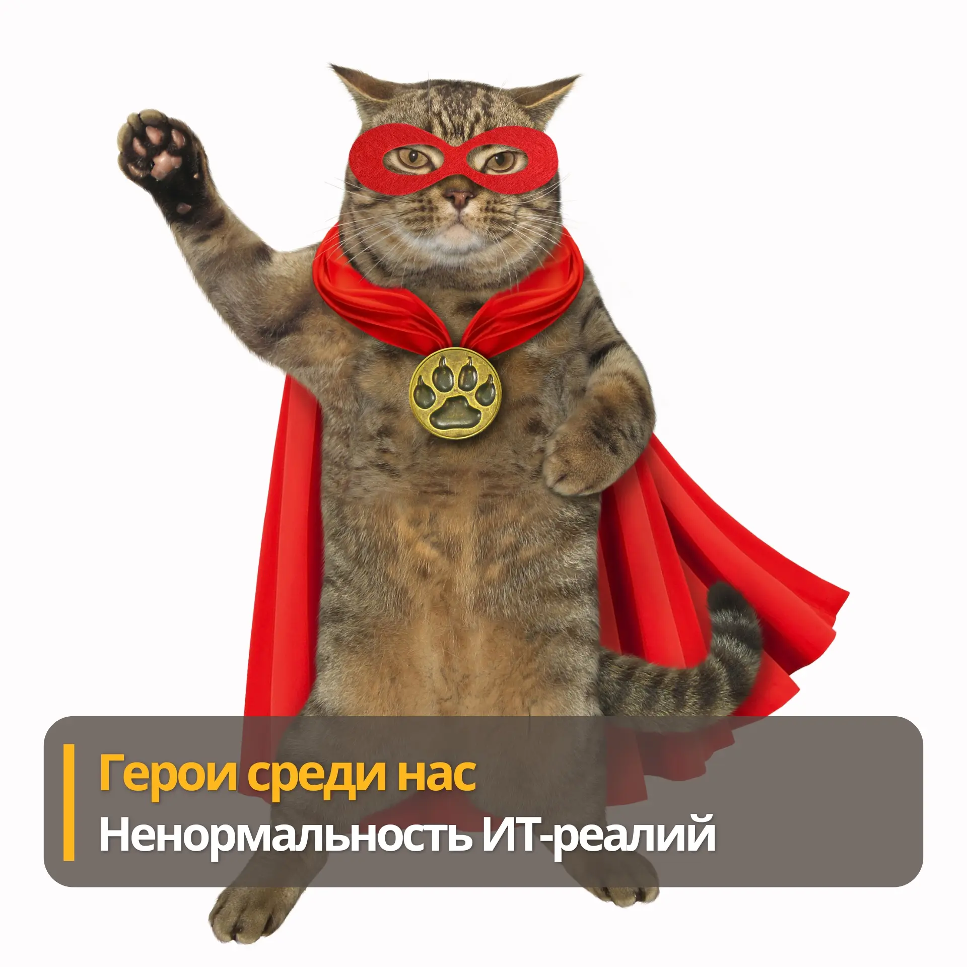 Культура геройства как признак нездоровья компании | Сетка — социальная сеть от hh.ru
