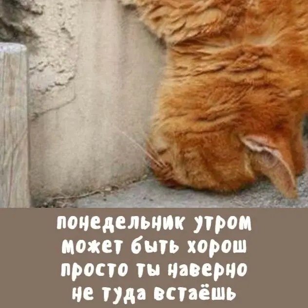 Надо просто попробовать «вставать туда» 😜 | Сетка — социальная сеть от hh.ru