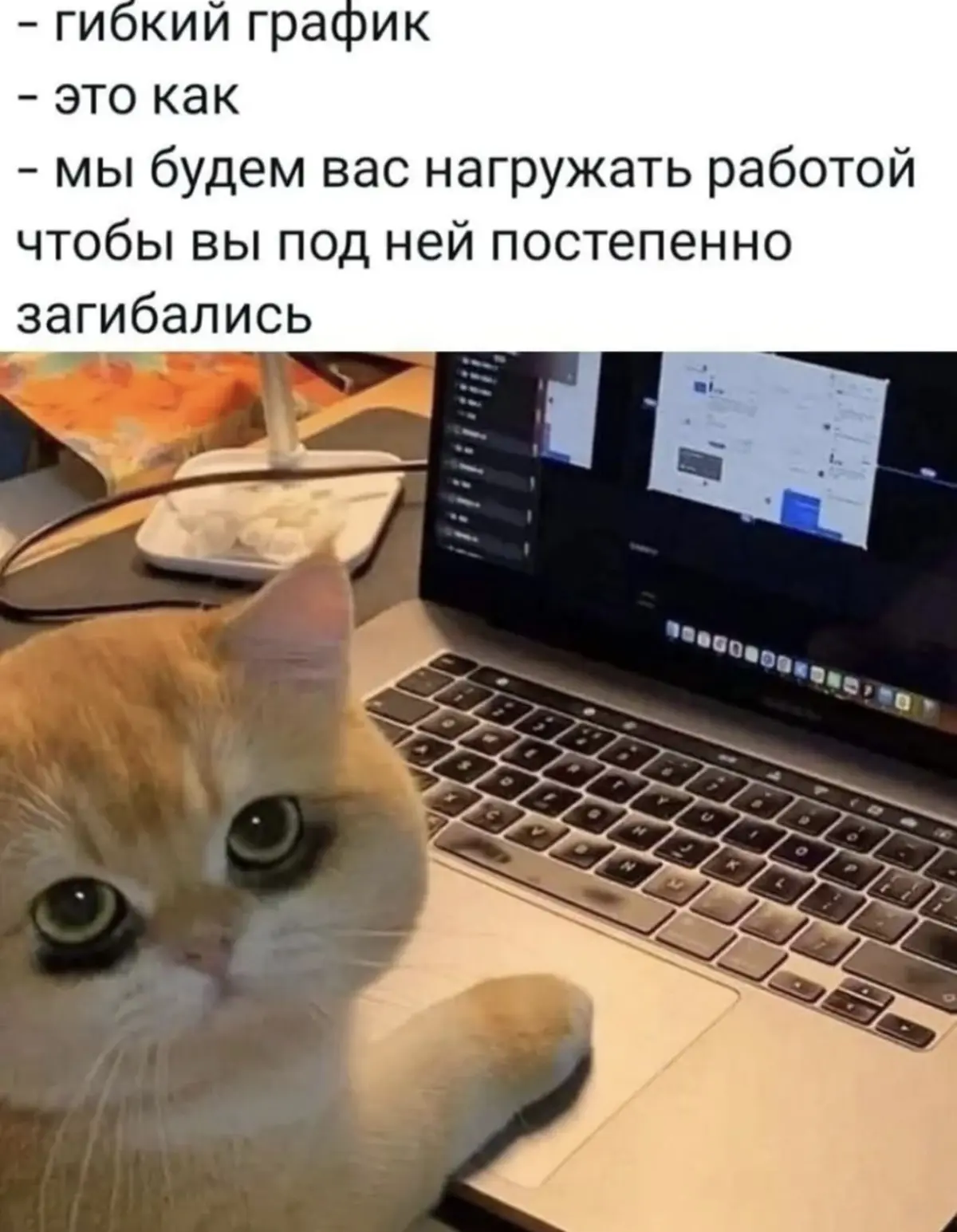 Уточняйте условия на берегу 😄 | Сетка — социальная сеть от hh.ru