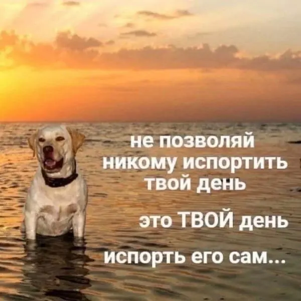 Поставь зум на 8:15 утра с заказчиком из госоргана: | Сетка — социальная сеть от hh.ru