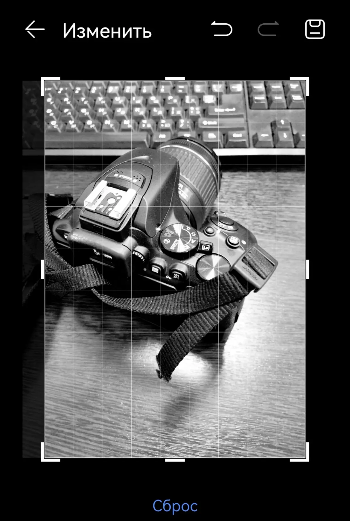 NIKONонические фото | Сетка — социальная сеть от hh.ru