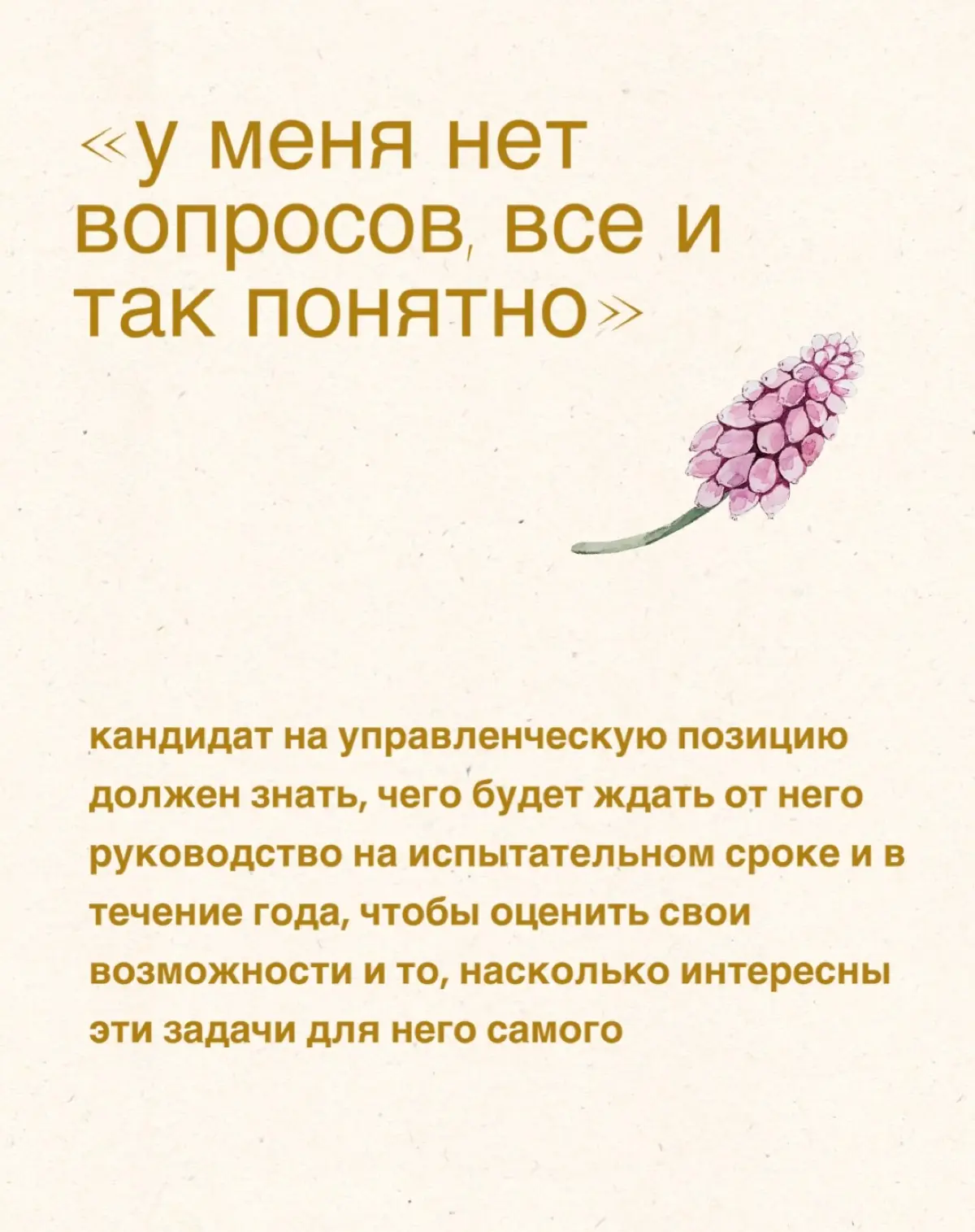 Ошибки на собеседовании | Сетка — социальная сеть от hh.ru