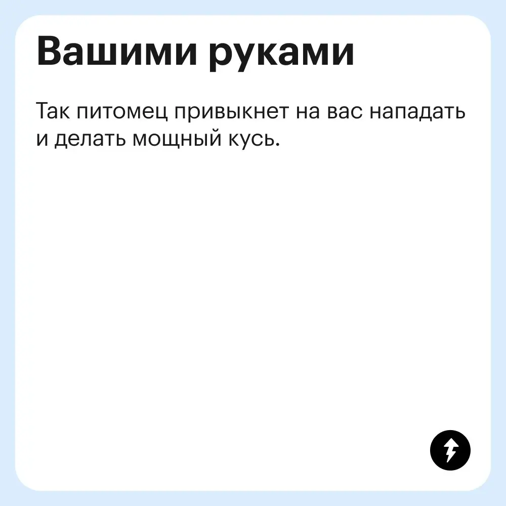 🐱 🦋 🐱 🕺 🍎
🦋 «Лучше выбирать такие игрушки, которые позволяют питомцу преследовать добычу, подкрадываться и ловить ее: удочки-дразнилки, мячики или мягкие игрушки небольшого размера, похожие на грызуно... | Сетка — социальная сеть от hh.ru