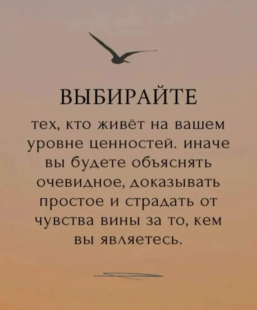 #цитатадня #вторник | Сетка — социальная сеть от hh.ru