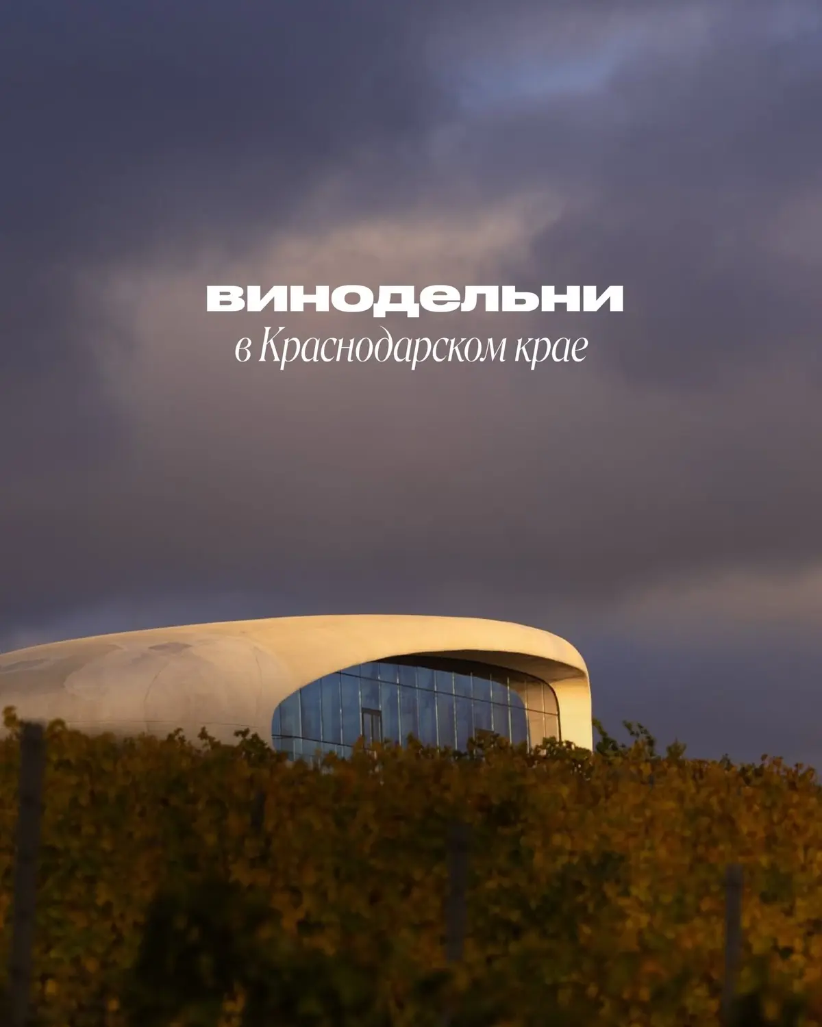 Винодельни Краснодарского Края  часть 1 | Сетка — социальная сеть от hh.ru