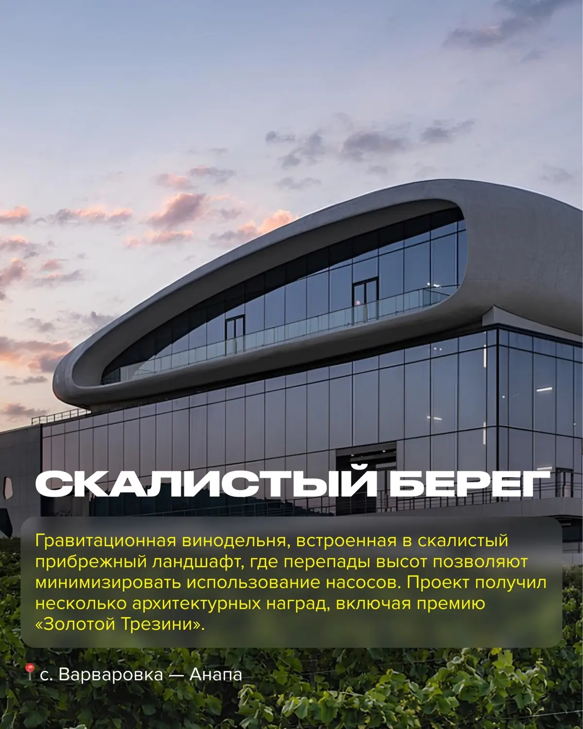 Винодельни Краснодарского Края  часть 1 | Сетка — социальная сеть от hh.ru