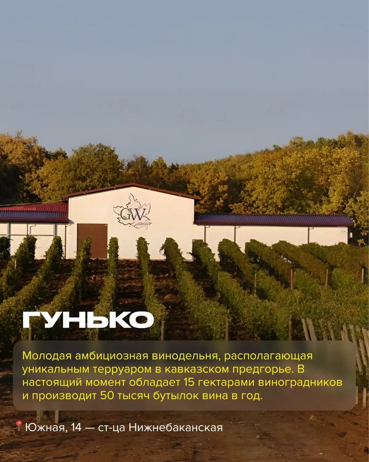 Винодельни Краснодарского Края  часть 1 | Сетка — социальная сеть от hh.ru