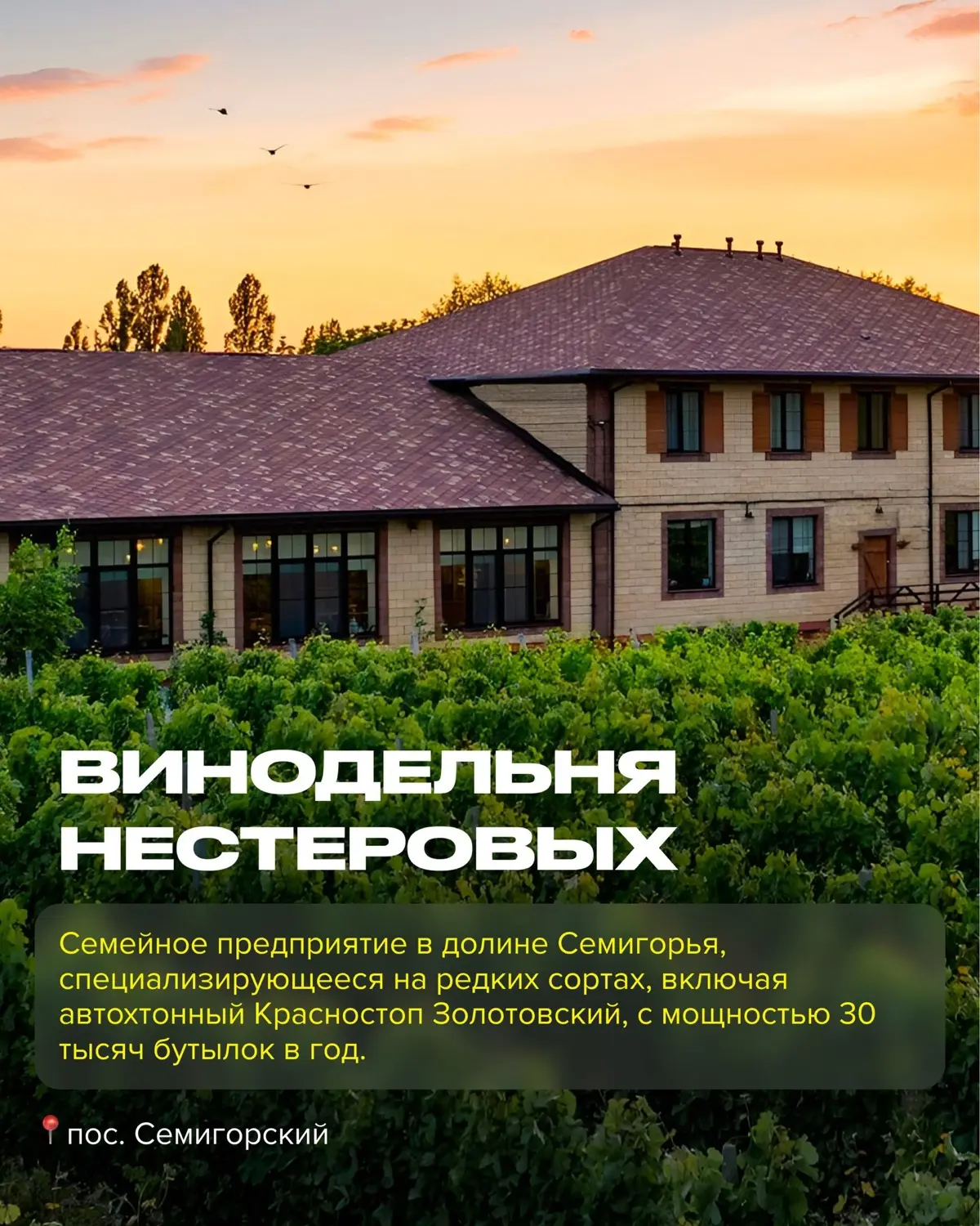 Винодельни Краснодарского Края  часть 1 | Сетка — социальная сеть от hh.ru