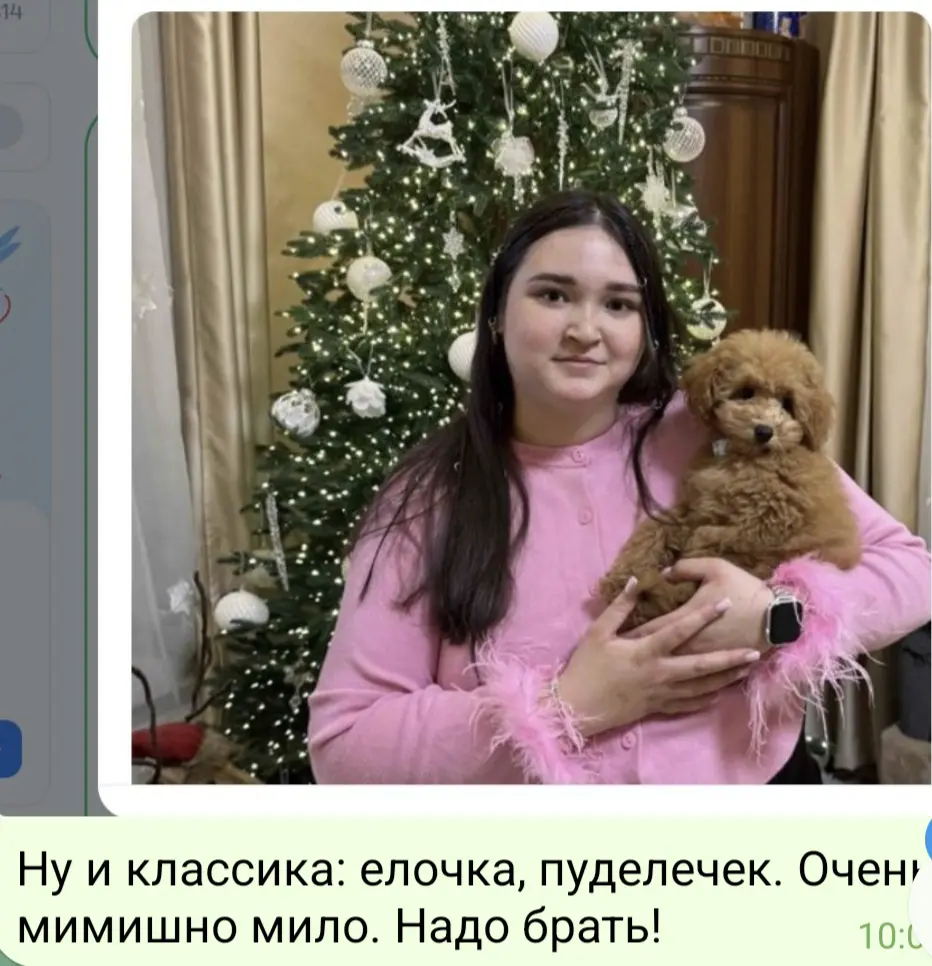 comment image