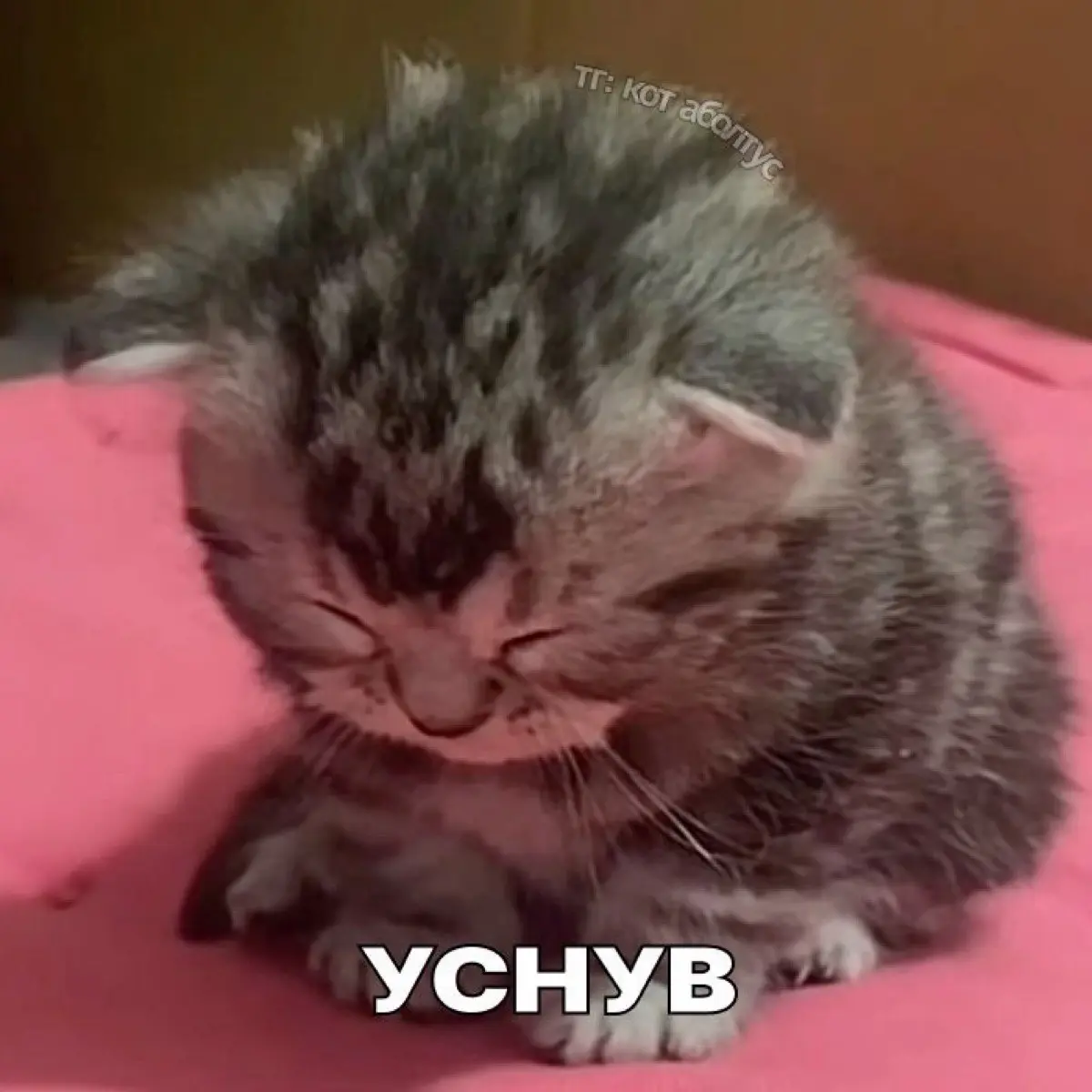 Даша Малинова