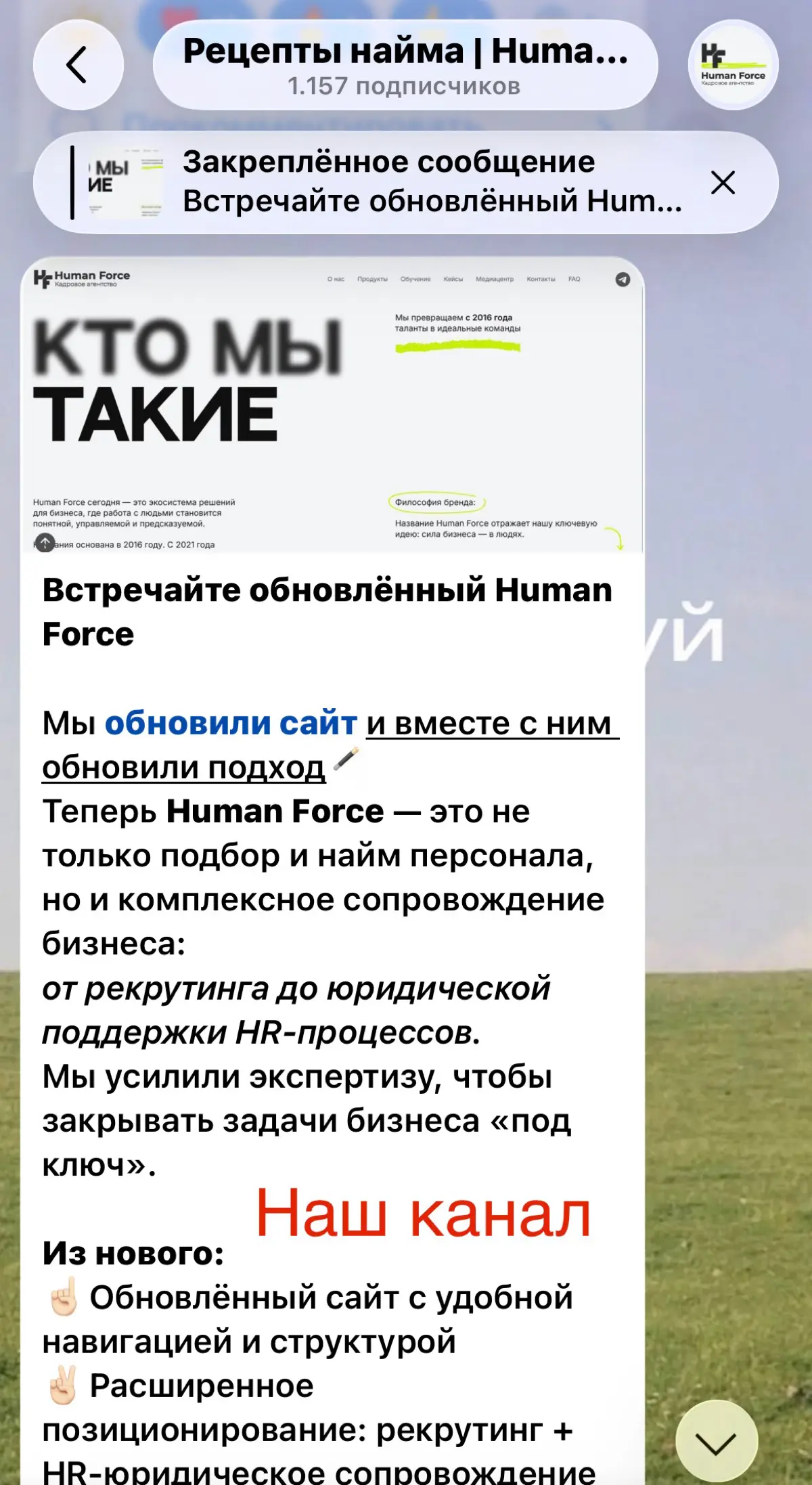 ВНИМАНИЕ, МОШЕННИКИ! | Сетка — социальная сеть от hh.ru